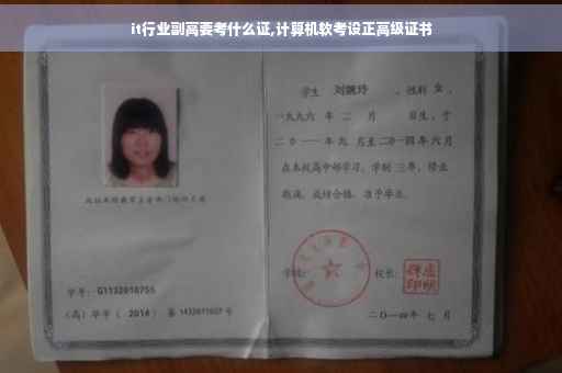 it行业副高要考什么证,计算机软考设正高级证书