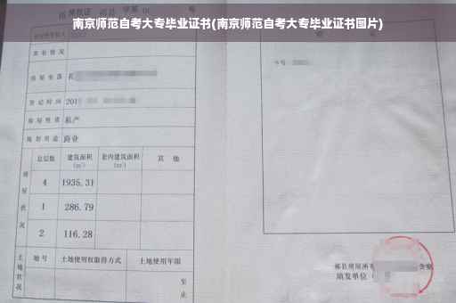 南京师范自考大专毕业证书(南京师范自考大专毕业证书图片)