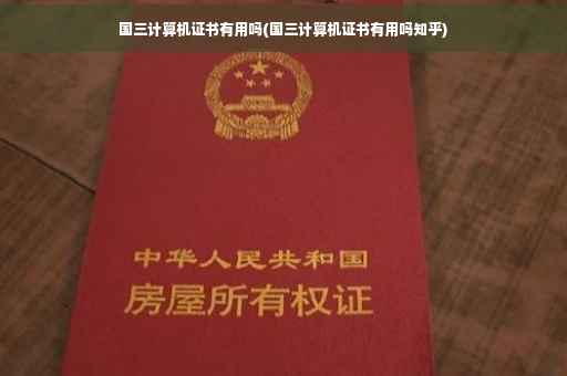国三计算机证书有用吗(国三计算机证书有用吗知乎)