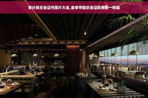 审计类毕业证书图片大全,金审学院毕业证和南审一样嘛