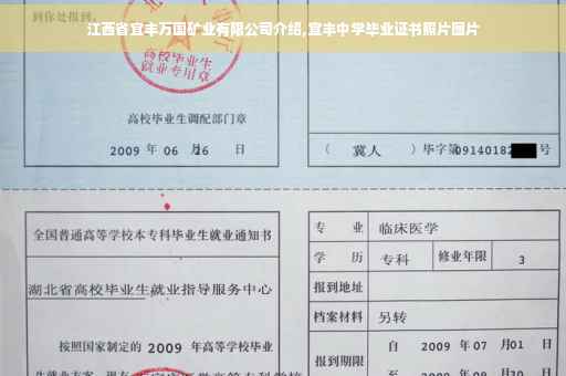 江西省宜丰万国矿业有限公司介绍,宜丰中学毕业证书照片图片