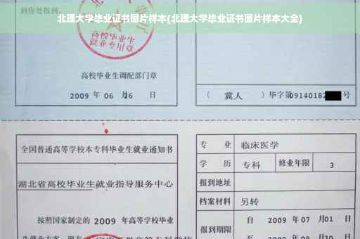 北理大学毕业证书图片样本(北理大学毕业证书图片样本大全)
