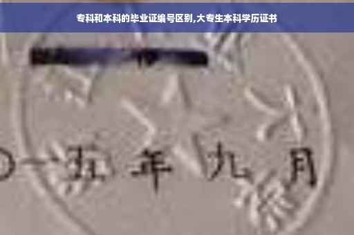 专科和本科的毕业证编号区别,大专生本科学历证书