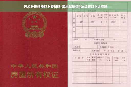 艺术分没过线能上专科吗-美术基础证书e级可以上大专吗