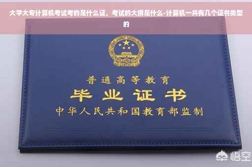 大学大专计算机考试考的是什么证，考试的大纲是什么-计算机一共有几个证书类型的