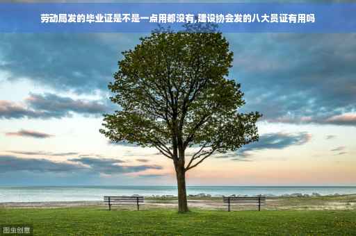 劳动局发的毕业证是不是一点用都没有,建设协会发的八大员证有用吗
