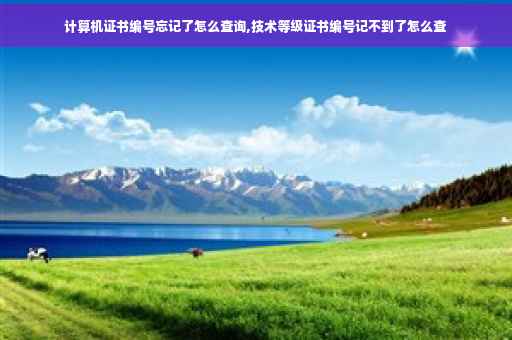计算机证书编号忘记了怎么查询,技术等级证书编号记不到了怎么查