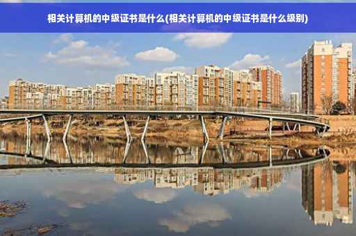 相关计算机的中级证书是什么(相关计算机的中级证书是什么级别)