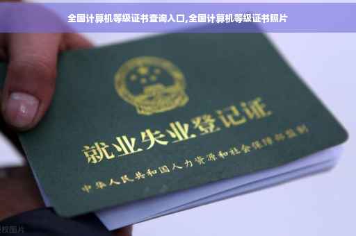 全国计算机等级证书查询入口,全国计算机等级证书照片