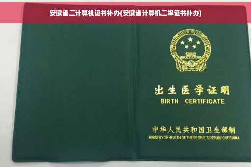 安徽省二计算机证书补办(安徽省计算机二级证书补办)