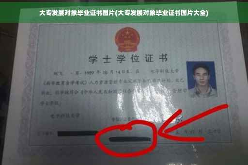 大专发展对象毕业证书图片(大专发展对象毕业证书图片大全)