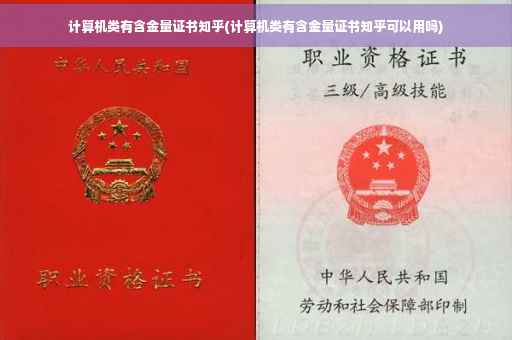 计算机类有含金量证书知乎(计算机类有含金量证书知乎可以用吗)