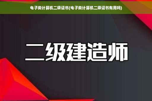 电子类计算机二级证书(电子类计算机二级证书有用吗)