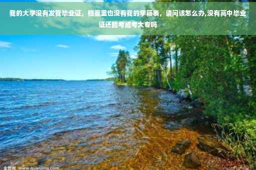 我的大学没有发我毕业证，档案里也没有我的学籍表，请问该怎么办,没有高中毕业证还能考成考大专吗