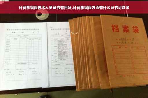 计算机编程技术人员证书有用吗,计算机编程方面有什么证书可以考