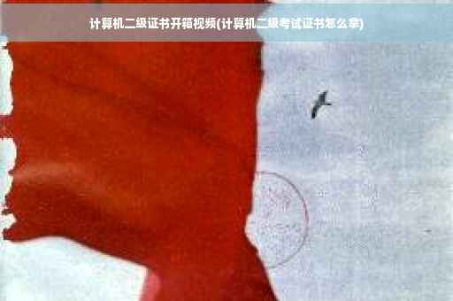 计算机二级证书开箱视频(计算机二级考试证书怎么拿)