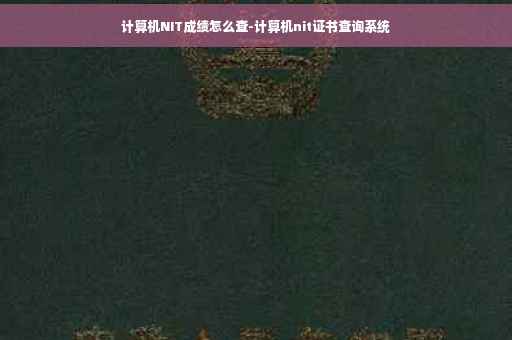 计算机NIT成绩怎么查-计算机nit证书查询系统