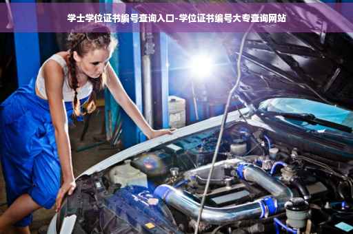 学士学位证书编号查询入口-学位证书编号大专查询网站