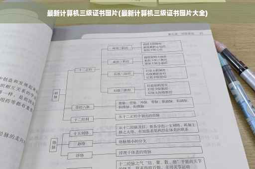 最新计算机三级证书图片(最新计算机三级证书图片大全)