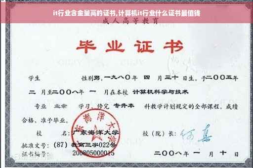 it行业含金量高的证书,计算机it行业什么证书最值钱