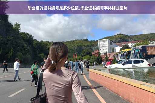 毕业证的证书编号是多少位数,毕业证书编号字体格式图片