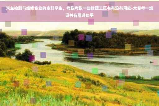 汽车检测与维修专业的专科学生，考取考取一些修理工证书有没有用处-大专考一堆证书有用吗知乎