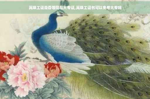 高级工证是否等同与大专证,高级工证书可以免考大专吗