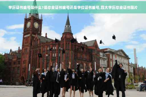 学历证书编号是什么?是毕业证书编号还是学位证书编号,四大学历毕业证书图片