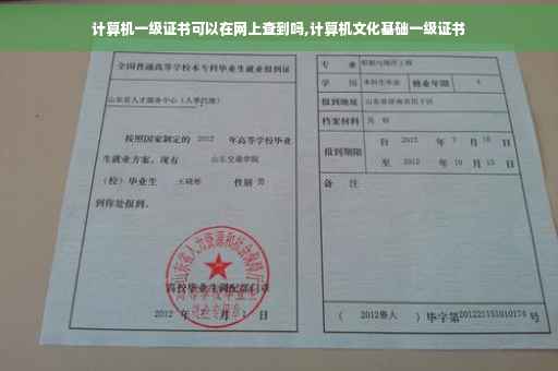 计算机一级证书可以在网上查到吗,计算机文化基础一级证书