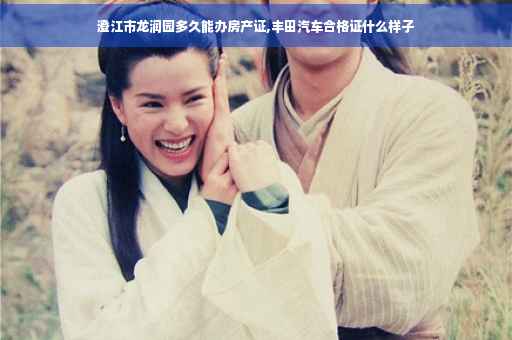 澄江市龙润园多久能办房产证,丰田汽车合格证什么样子 澄江市龙润园多久能办房产证,丰田汽车合格证什么样子