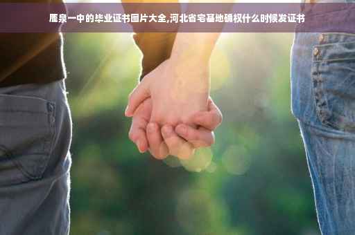 鹿泉一中的毕业证书图片大全,河北省宅基地确权什么时候发证书