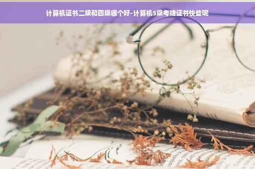 计算机证书二级和四级哪个好-计算机5级考啥证书快些呢