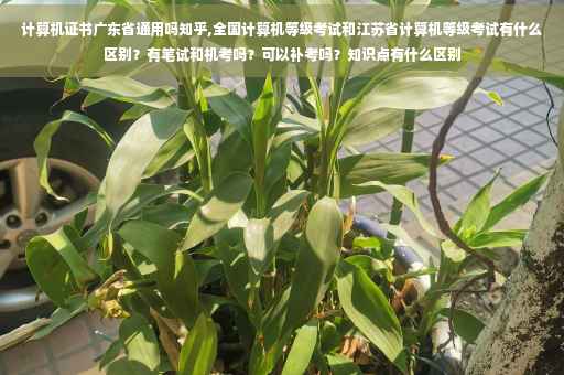 计算机证书广东省通用吗知乎,全国计算机等级考试和江苏省计算机等级考试有什么区别？有笔试和机考吗？可以补考吗？知识点有什么区别