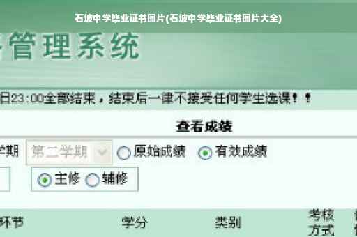 石坡中学毕业证书图片(石坡中学毕业证书图片大全)