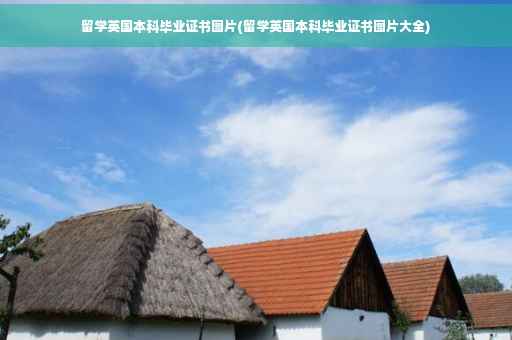 留学英国本科毕业证书图片(留学英国本科毕业证书图片大全)
