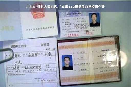 广东3+证书大专排名,广东省3+2证书民办学校哪个好