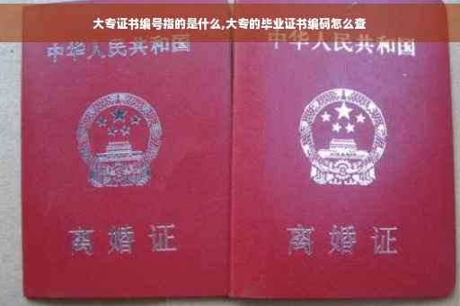 大专证书编号指的是什么,大专的毕业证书编码怎么查
