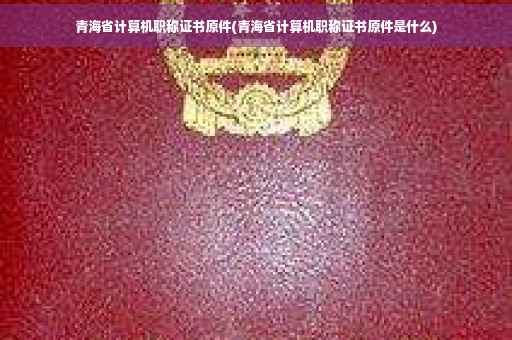青海省计算机职称证书原件(青海省计算机职称证书原件是什么)
