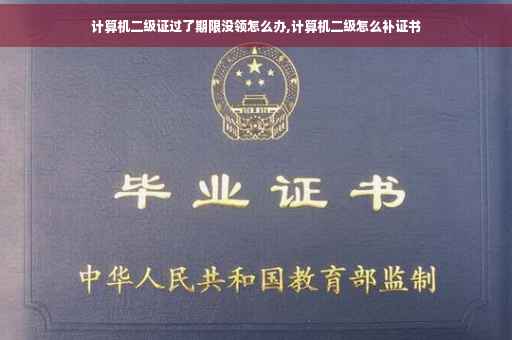 计算机二级证过了期限没领怎么办,计算机二级怎么补证书