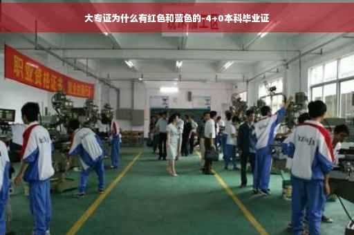 大专证为什么有红色和蓝色的-4+0本科毕业证