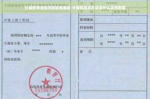 计算机专业技术职称有哪些-计算机技术中级是什么证书类型