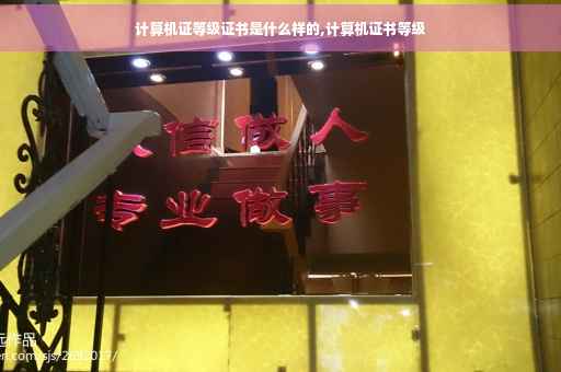 计算机证等级证书是什么样的,计算机证书等级