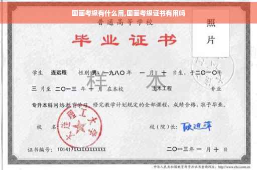 国画考级有什么用,国画考级证书有用吗