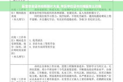 巨型毕业证书拍照图片大全,学历学位证书扫描版怎么扫描