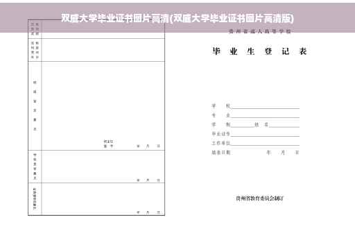 双威大学毕业证书图片高清(双威大学毕业证书图片高清版)