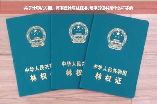 关于计算机方面，有哪些计算机证书,程序员证书是什么样子的
