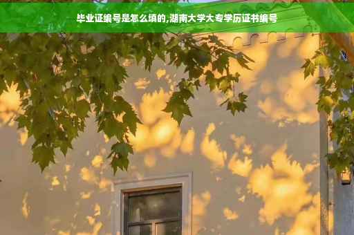 毕业证编号是怎么填的,湖南大学大专学历证书编号
