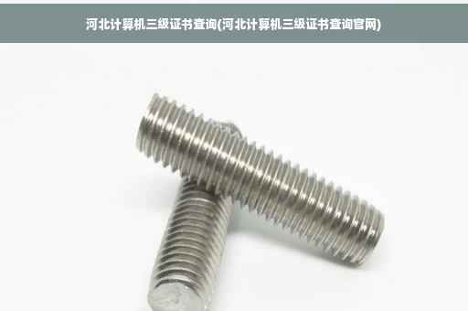 河北计算机三级证书查询(河北计算机三级证书查询官网)