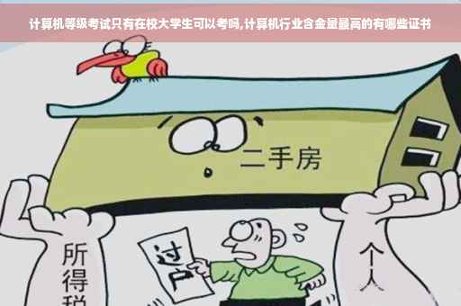 计算机等级考试只有在校大学生可以考吗,计算机行业含金量最高的有哪些证书