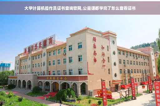 大学计算机操作员证书查询官网,公需课都学完了怎么查看证书